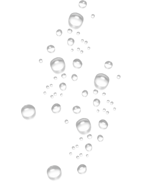 Untitled design(453)