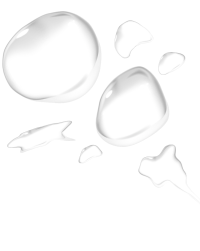 Untitled design(455)